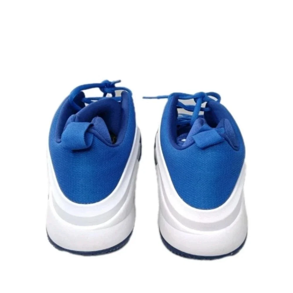 Nike LeBron Zoom Witness Shoes Men's Size 13 Game Royal